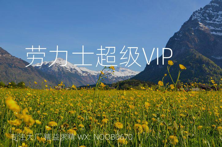 劳力士超级VIP