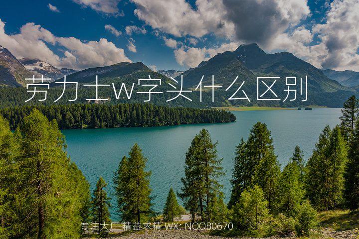 劳力士w字头什么区别