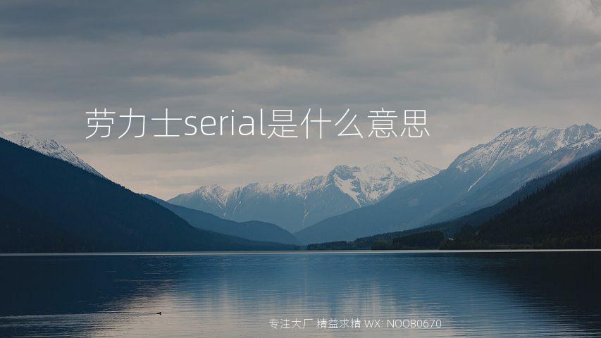 劳力士serial是什么意思