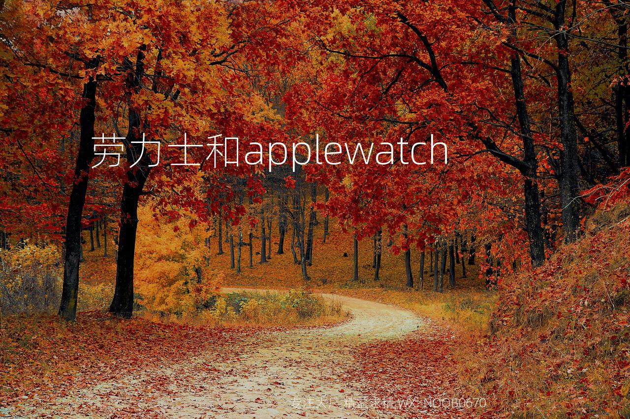 劳力士和applewatch