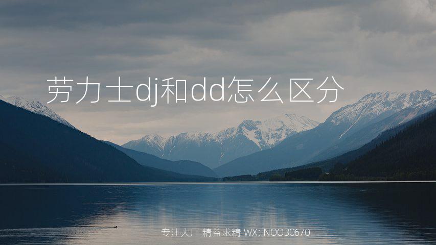 劳力士dj和dd怎么区分