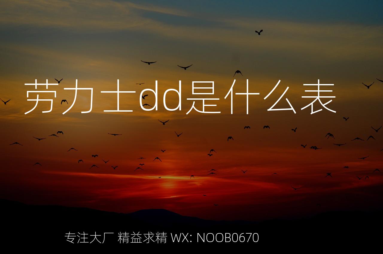 劳力士dd是什么表