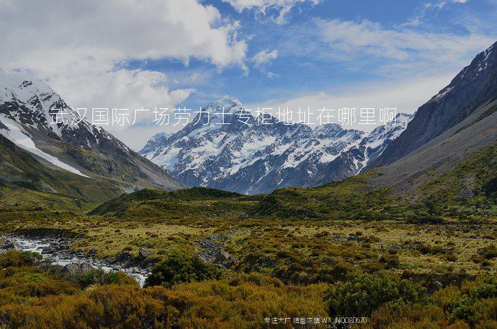 武汉国际广场劳力士专柜地址在哪里啊