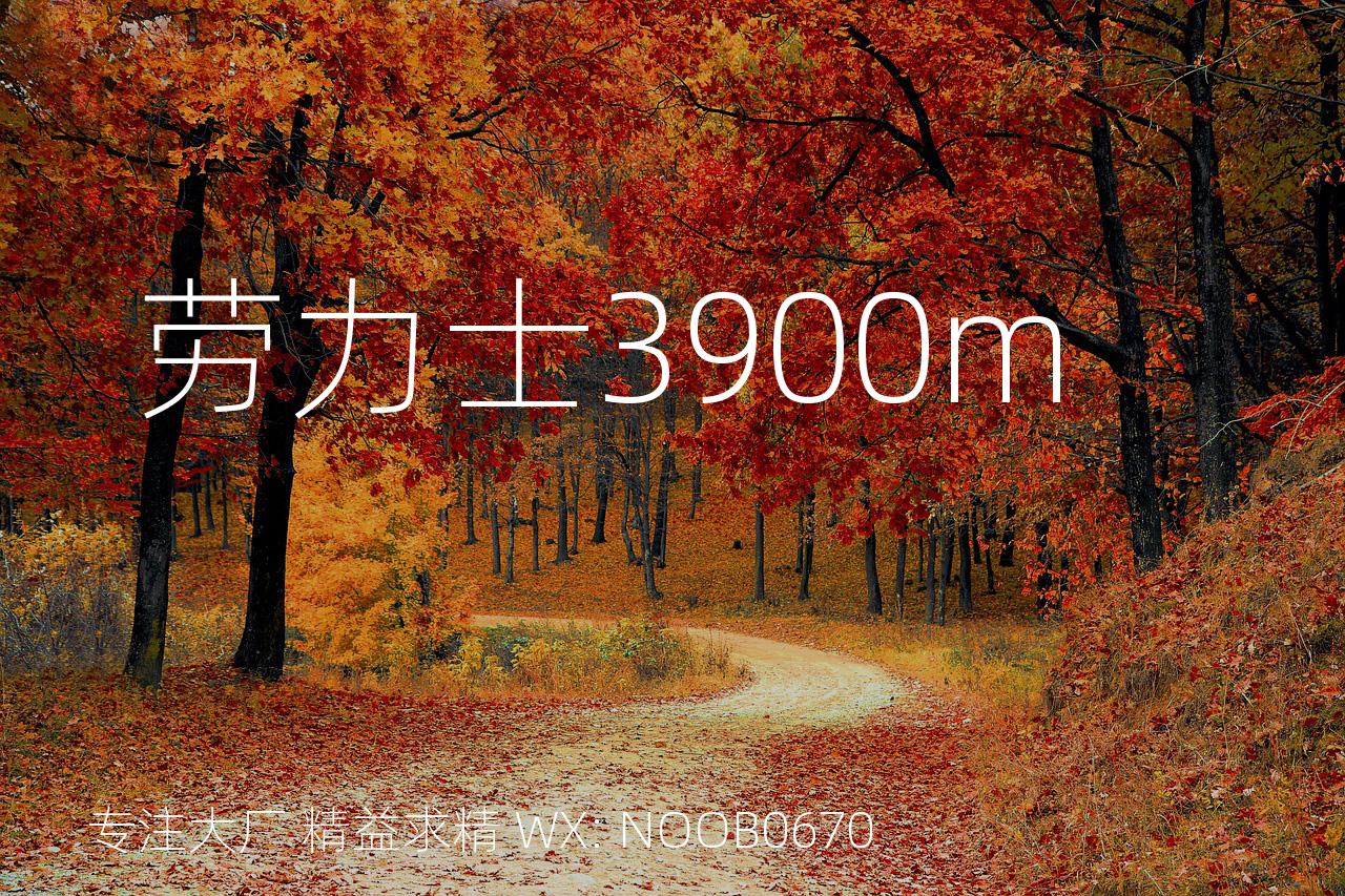 劳力士3900m