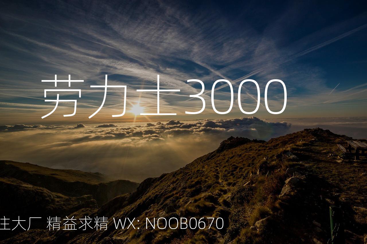 劳力士3000