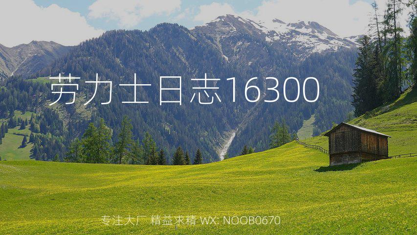 劳力士日志16300