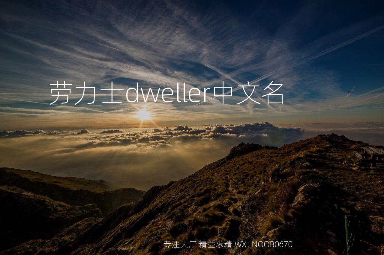 劳力士dweller中文名