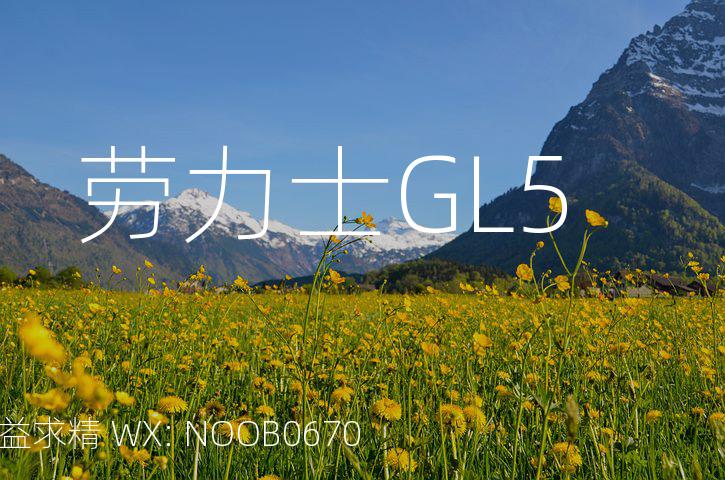 劳力士GL5