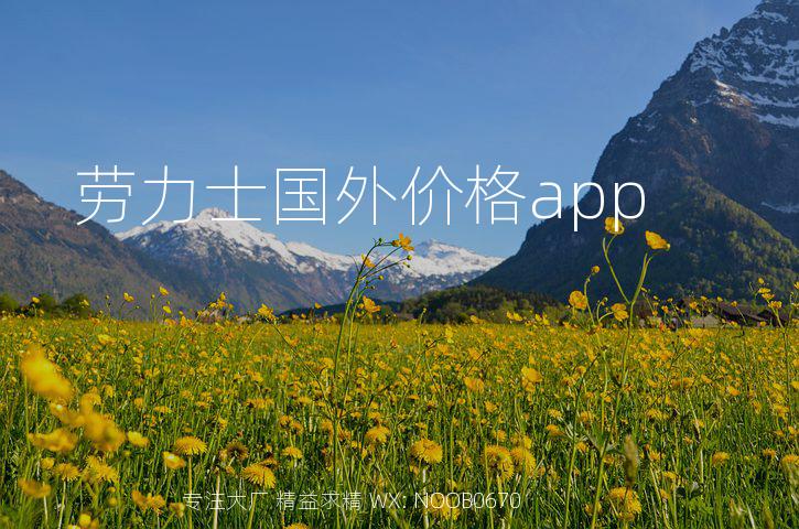 劳力士国外价格app