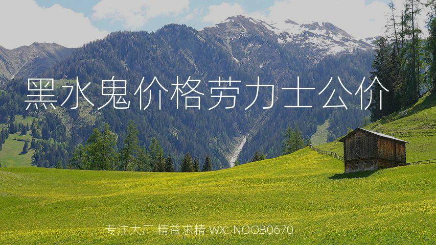 黑水鬼价格劳力士公价