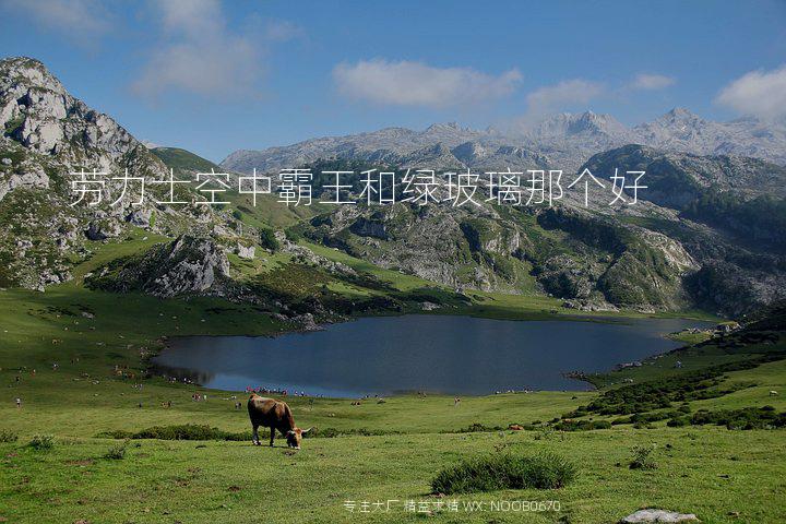 劳力士空中霸王和绿玻璃那个好