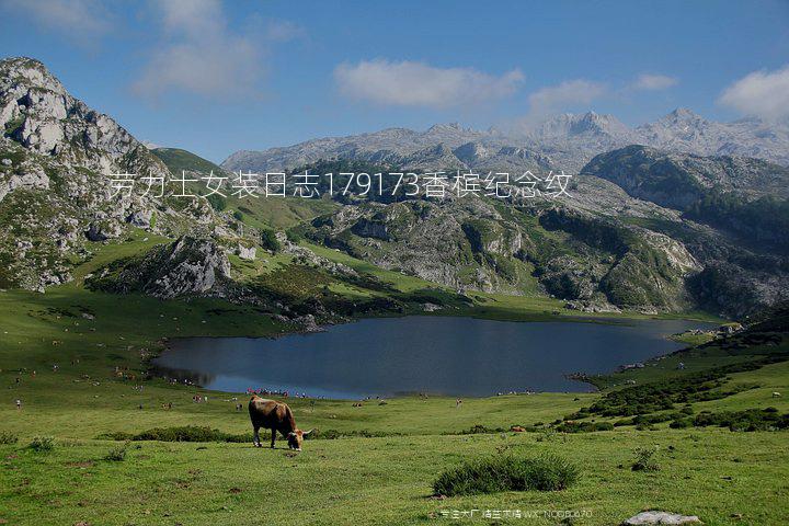 劳力士女装日志179173香槟纪念纹