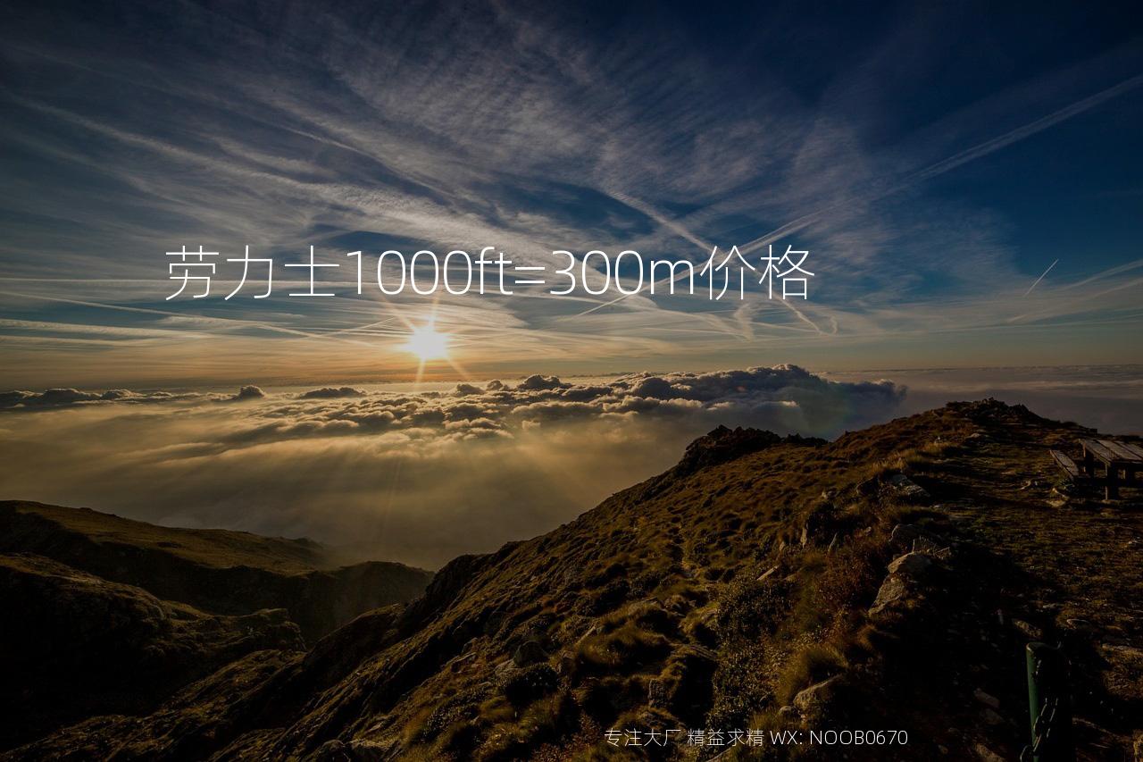 劳力士1000ft=300m价格