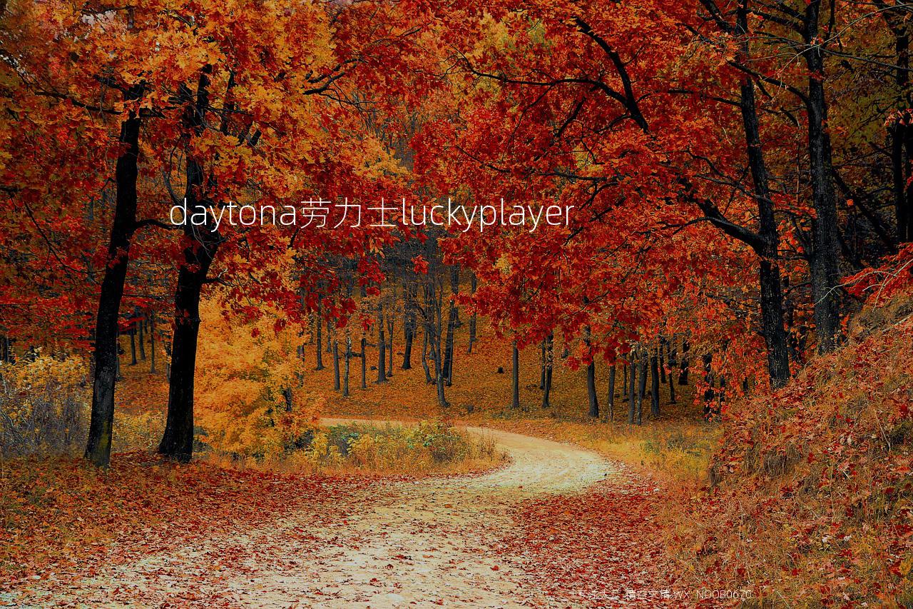 daytona劳力士luckyplayer