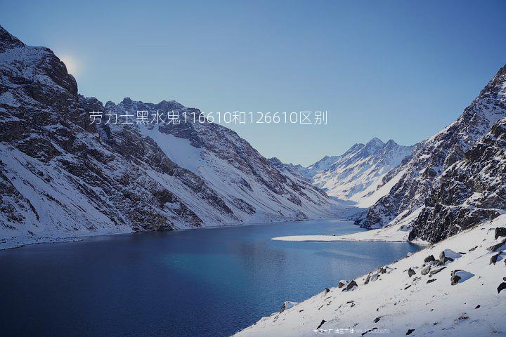 劳力士黑水鬼116610和126610区别