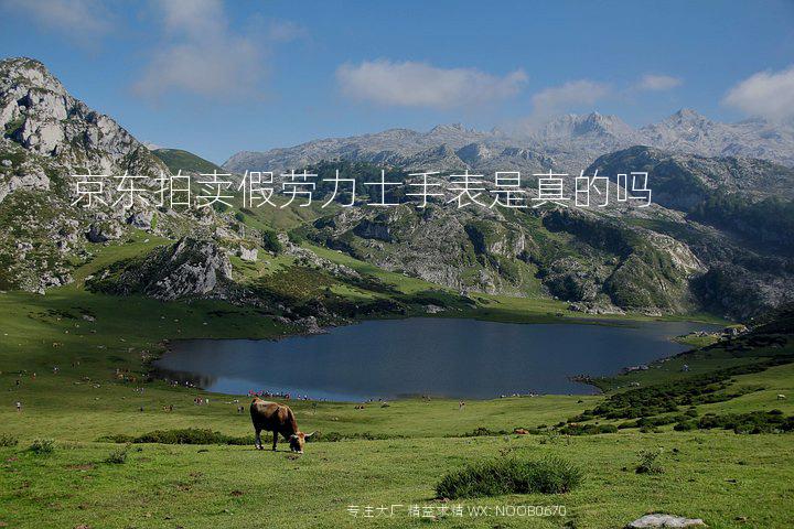 京东拍卖假劳力士手表是真的吗