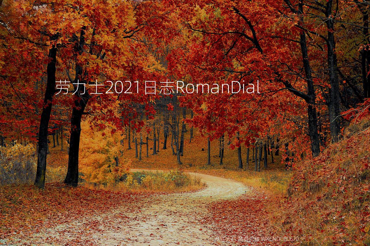 劳力士2021日志RomanDial